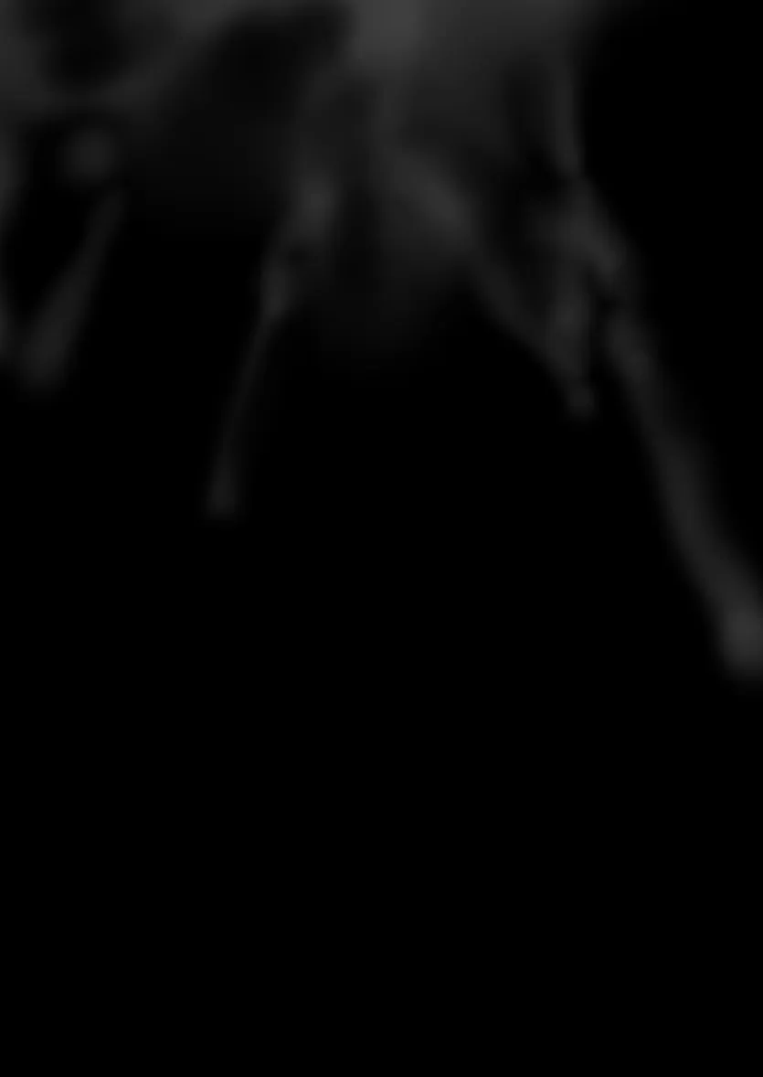 382352e85ec7aa22b94ef8b7ac89140e_1767831532_7316.webp